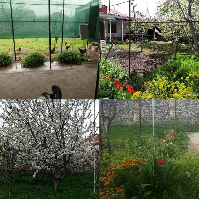 Продаётся участок в центре города Чирчик