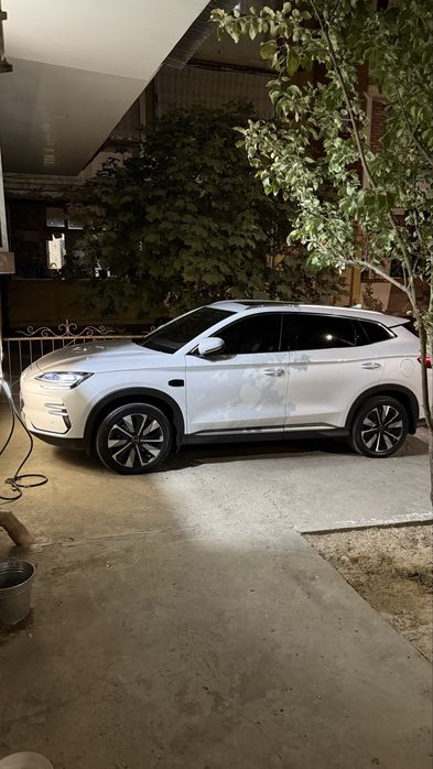 Аренда BYD Champion Smart 2025