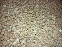 Ciocolata belgiana Callebaut - vrac