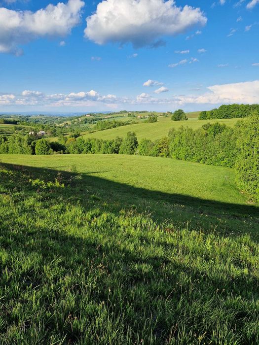 Teren intravilan Sinteu