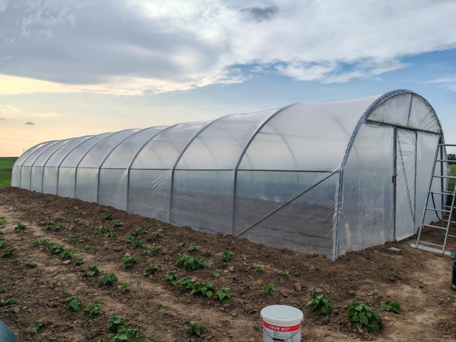 Solar / Solarii / Sere, Spațiu creștere legume și Flori