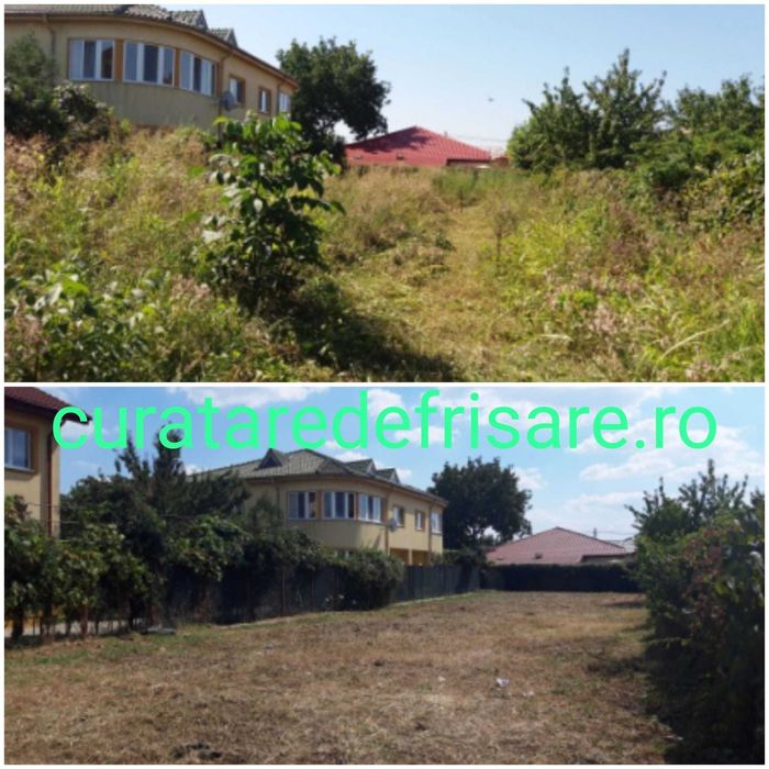 Curatare eliminare vegetatie / Defrisare terenuri / Tocare crengi