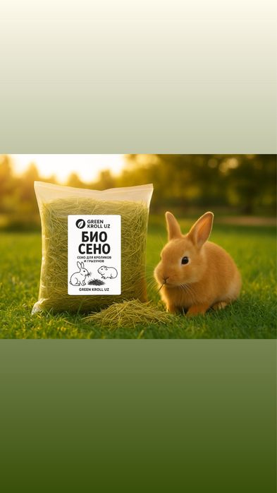 СЕНО ДЛЯ КРОЛИКОВ И ГРЫЗУНОВ  250gr . Xashak . cho’p .quyonga ovqat .