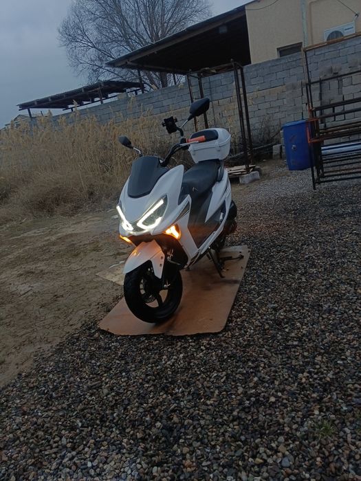 Макси 150 куб учётта тур шығарып бере аламын