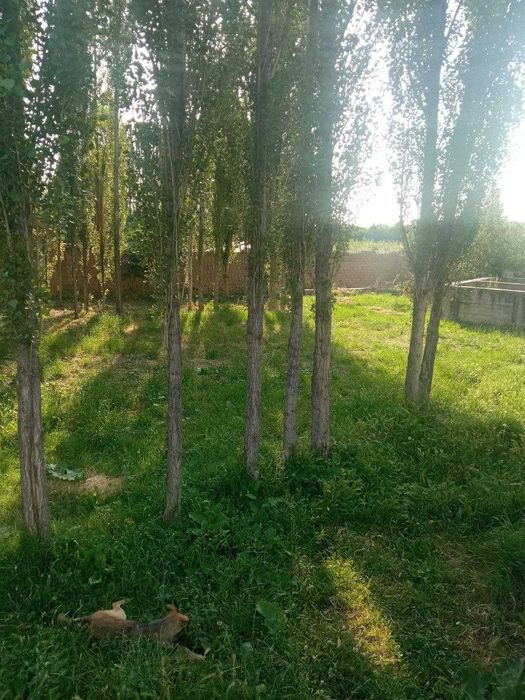 Продам участок земли