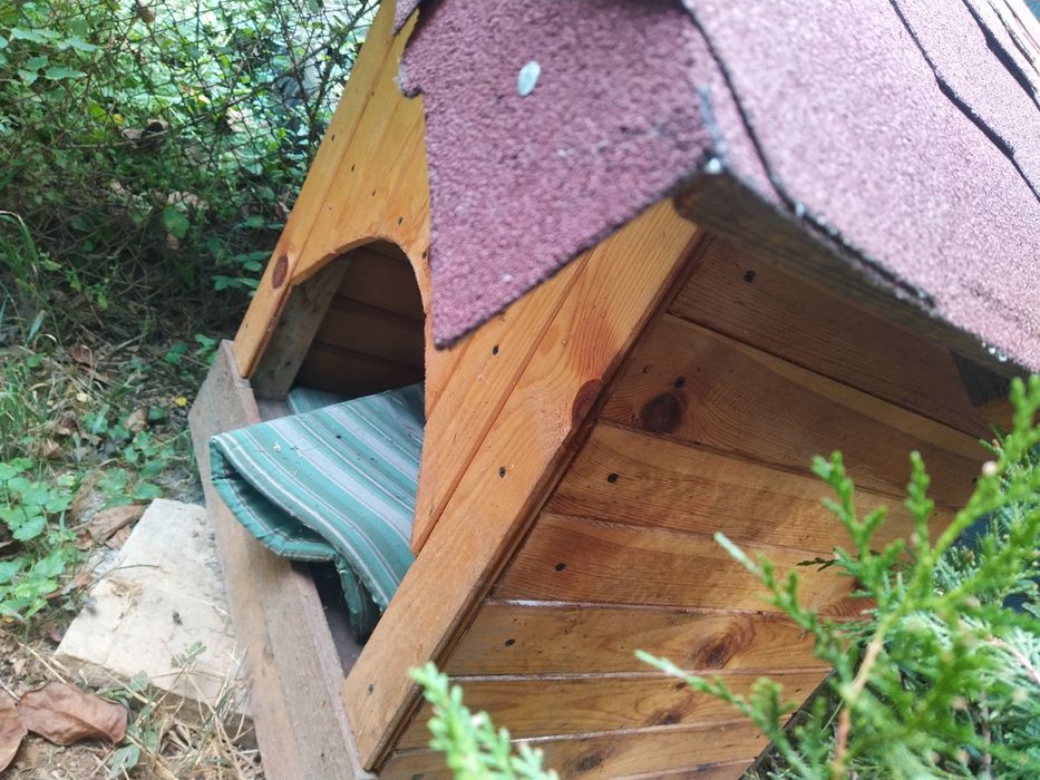 Нова кучешка къщичка