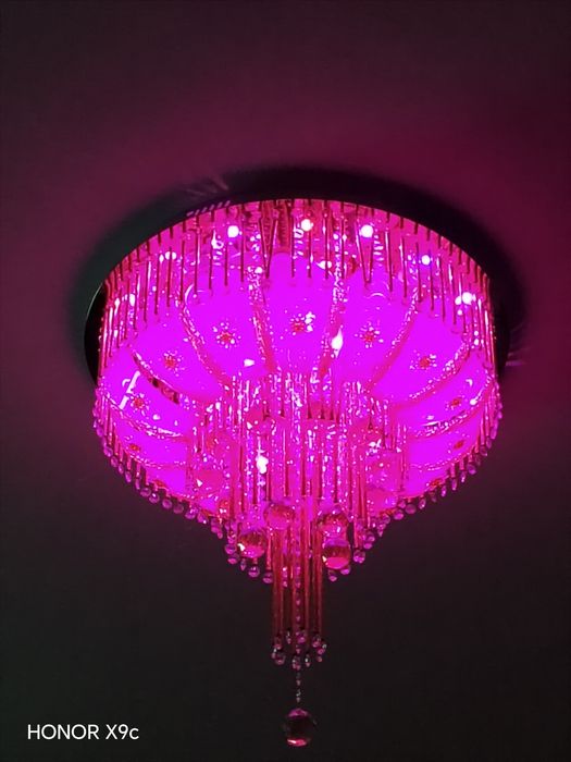 Lustra blutusli pluti bor!