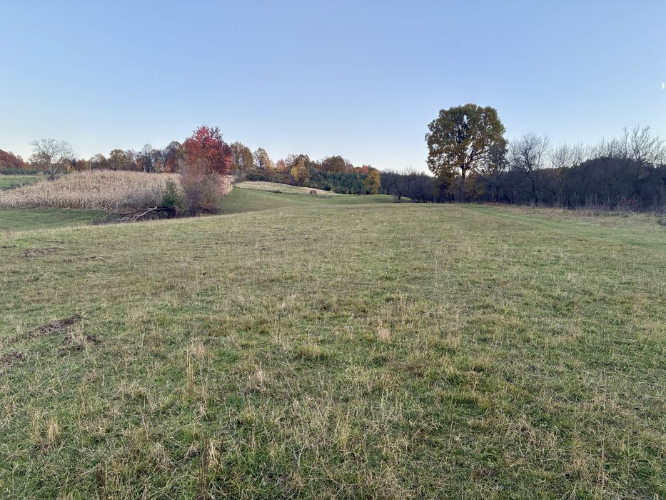 Proprietar – vând teren intravilan în Cărbunari, Maramureș