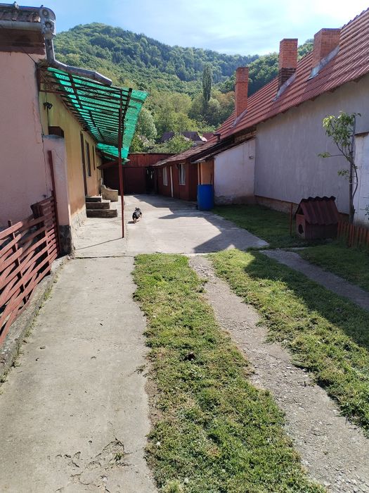 Casa de vanzare Pianu de Sus
