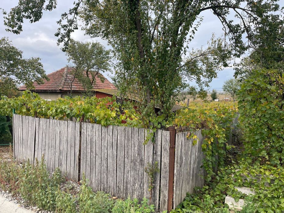 Teren cu vie de vânzare în Comuna Dănești, județul Gorj - 700mp