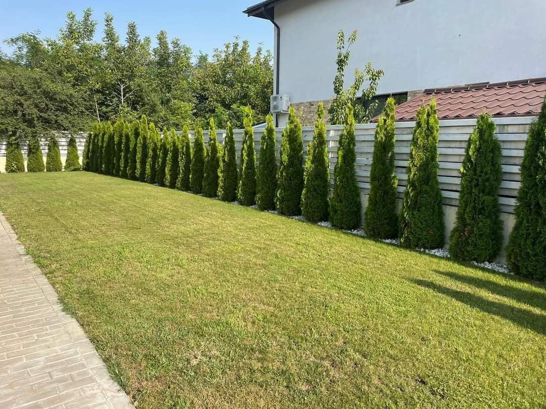 Amenajez gradini spați verzi