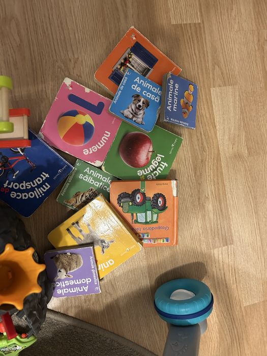 Donez jucarii pentru varsta de 1 an +