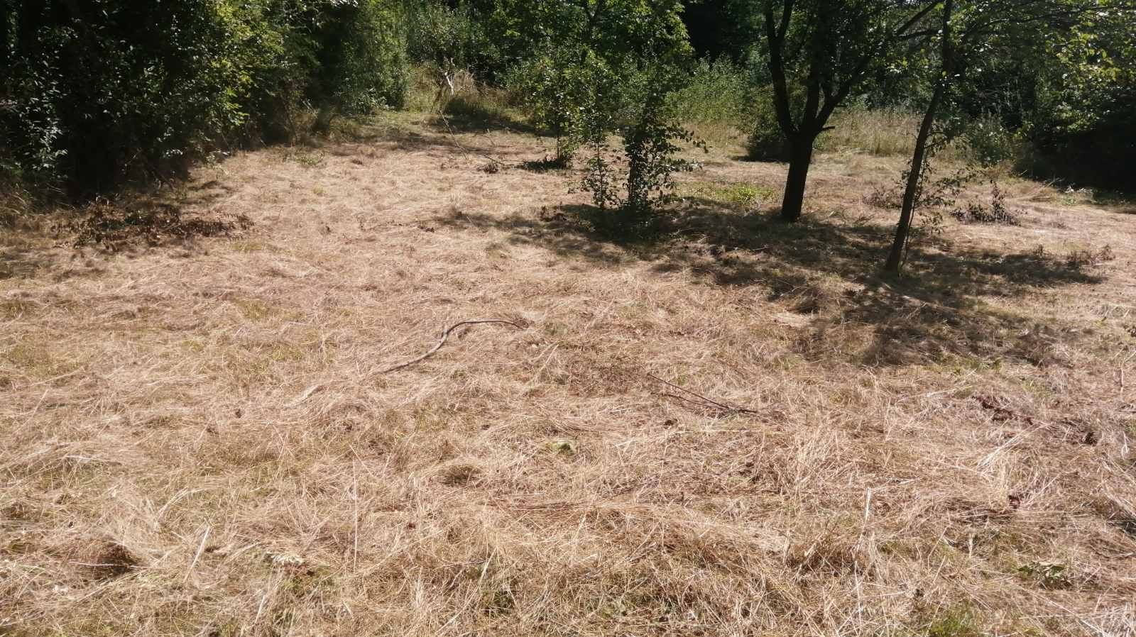 Продавам парцел в с. Дръмша!