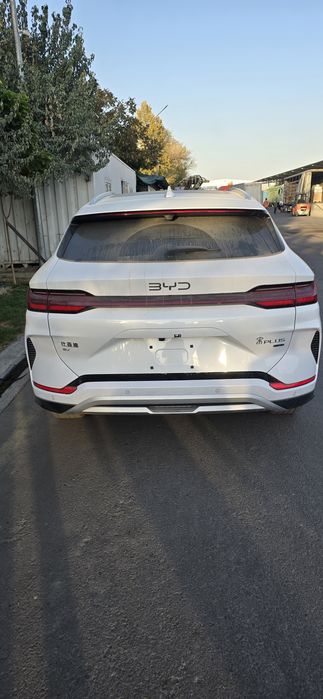 Byd champion smart 2025 yil rangi oq