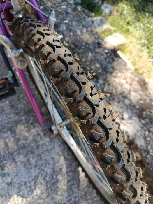 Bicicleta damă Magna Echo Ridge 24"