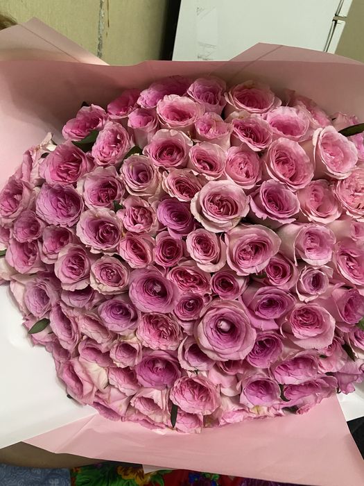 Роза 101 штук. Қазір келді