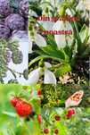 Smochini, butași de muri, stoloni de fragi, aluni, smochini, măslini,l