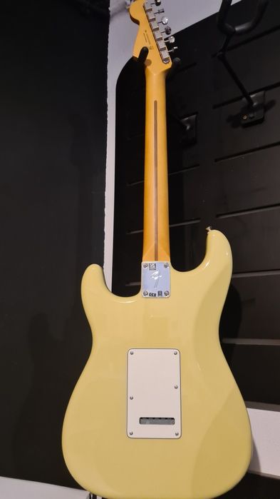 Fender Stratocaster player II