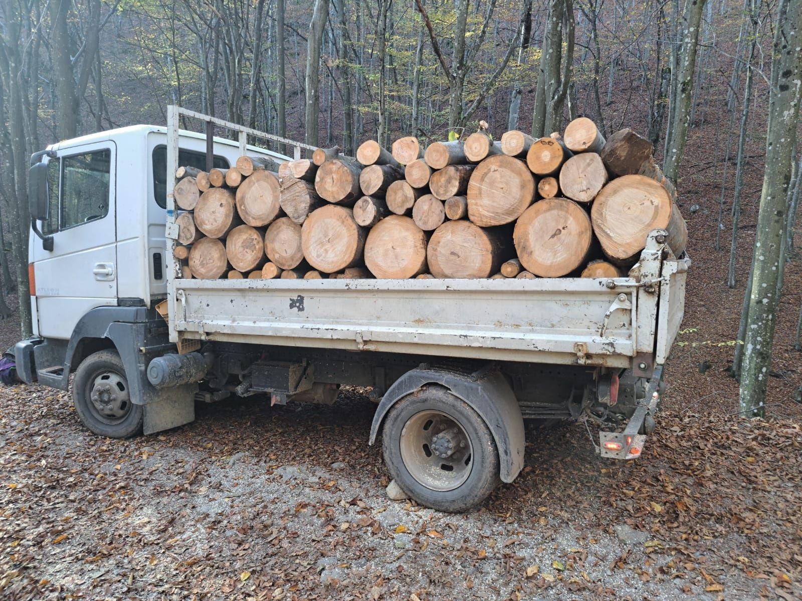 Lemn de foc la domiciliu în jud arad și bihor