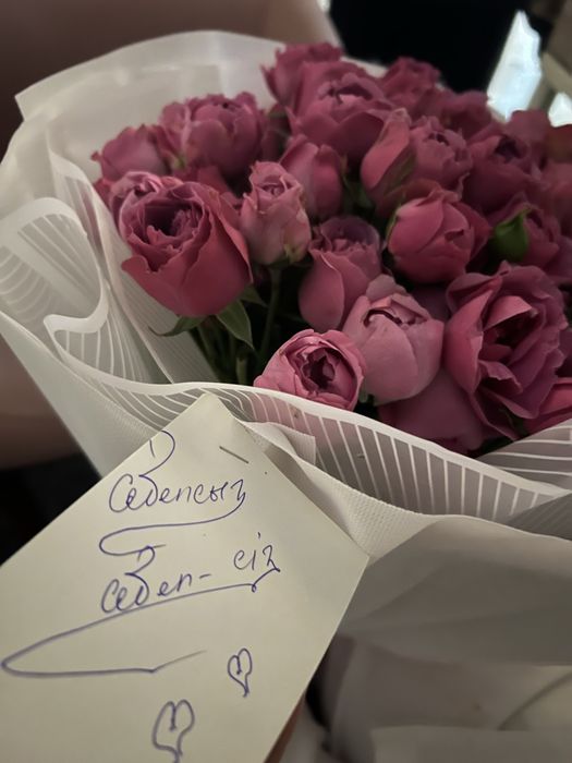 Свежие, только что подарили ,продам за 12 тыс, торговля есть