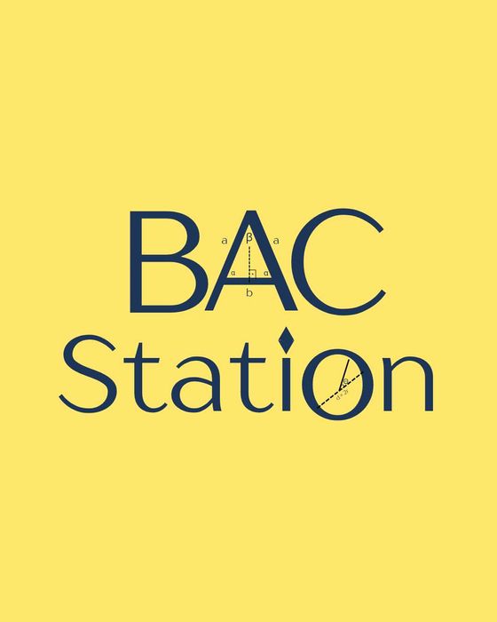 Meditatii bacalaureat ONLINE MATEMATICA & ROMANA
