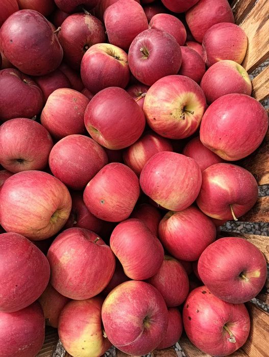 Vand mere de consum ionathan si golden