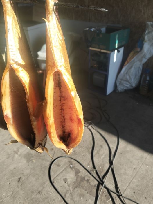 Пеледь капченая только опт