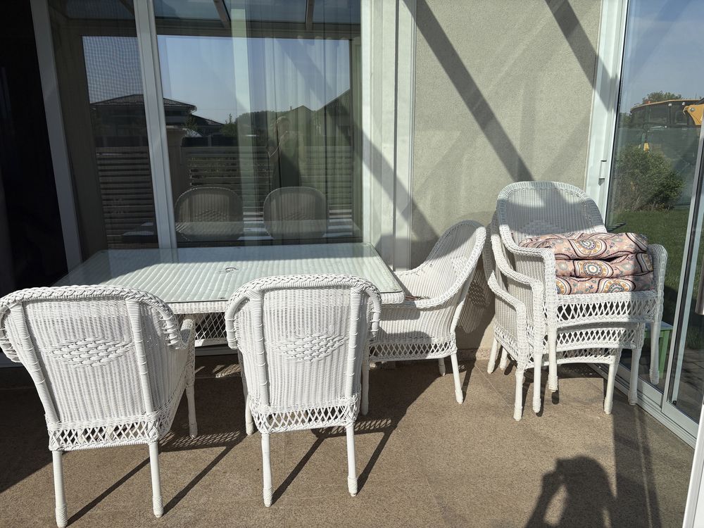 SUSAN Set mobilier gradina/terasa, 6 scaune, masa