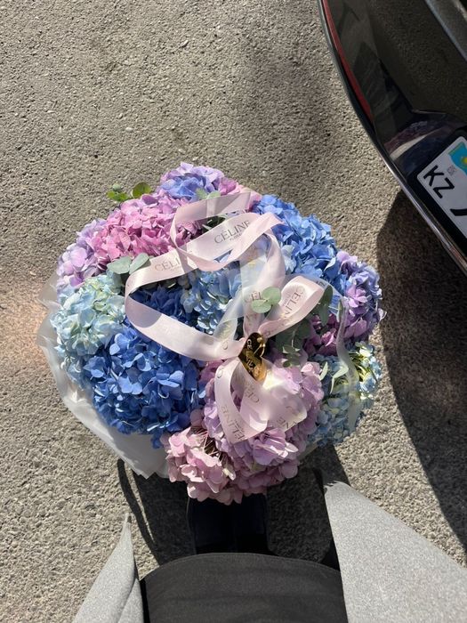 Гортензия цветы свежие