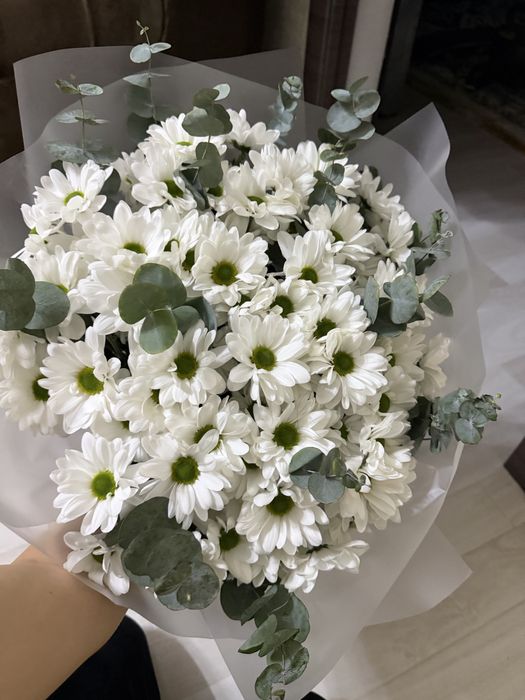 Продам красивые свежие цветы