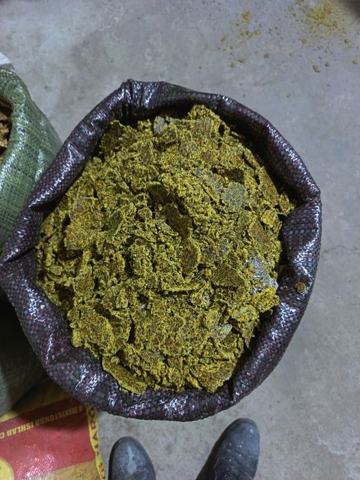 Кунжара ем параха мол куй лар учун