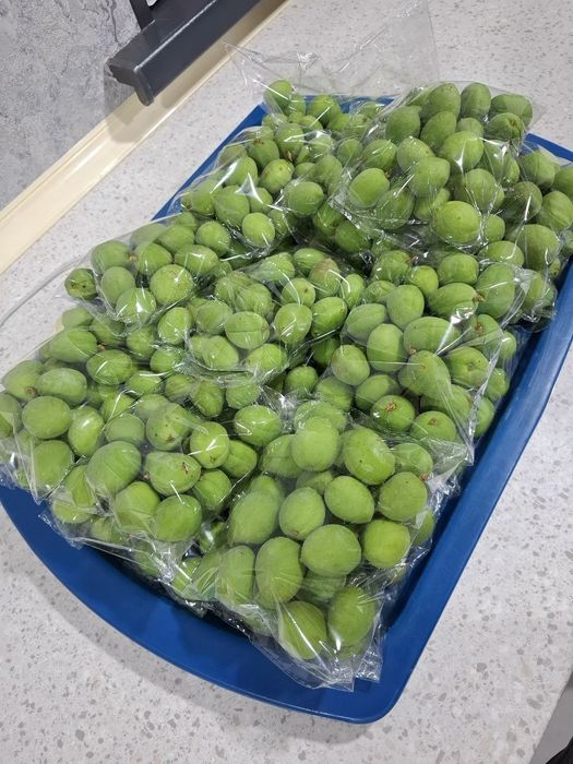 Dovuchcha arzon narxda