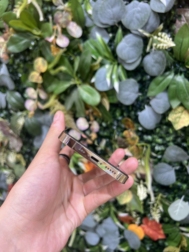 Iphone 13 pro голд
