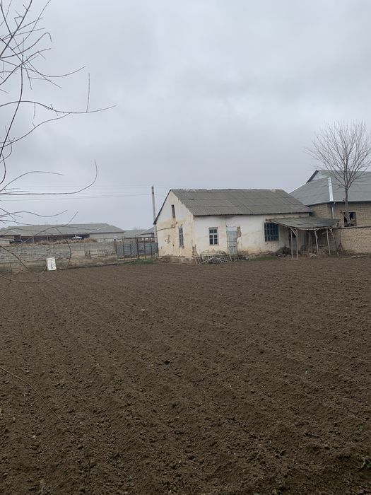 Toshkent viloyati , Bekobod tumani , Zafar shaxarchasida yer sotiladi