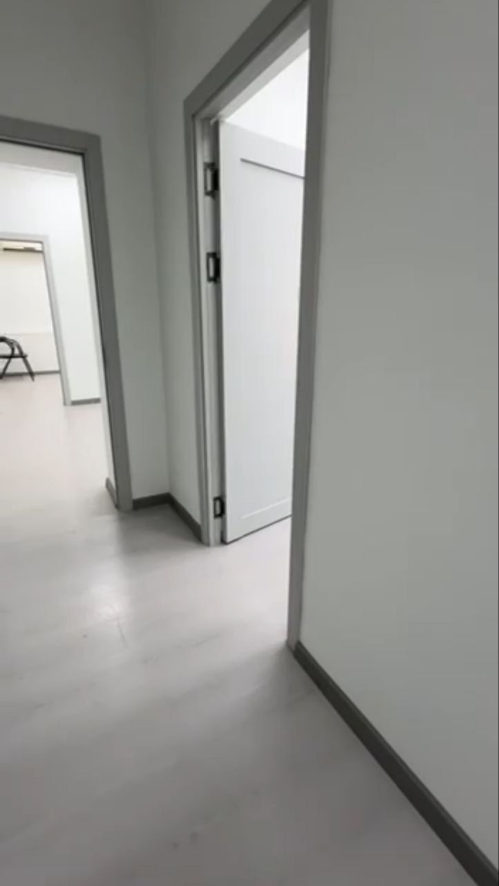 Глинка первая линия 85 м2 Аренда Продажа