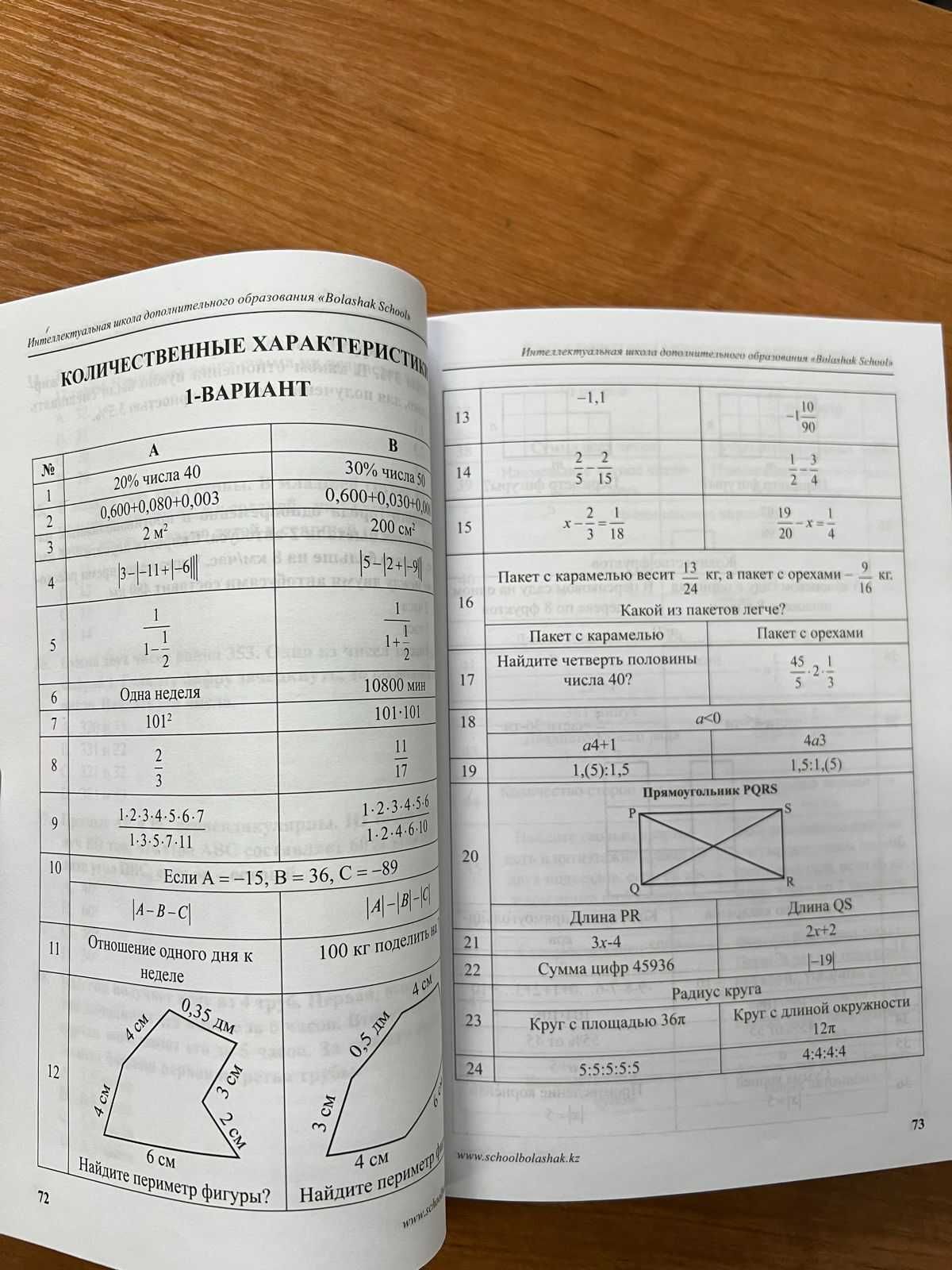 Тесты НИШ за 2024 год