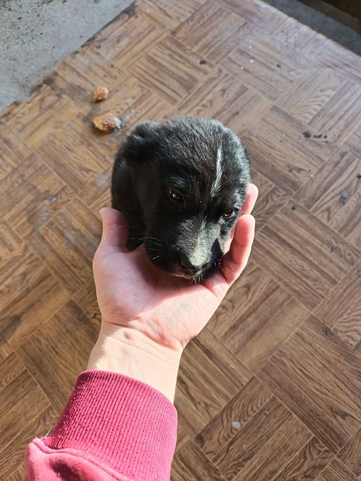 Продам срочно цена договорная