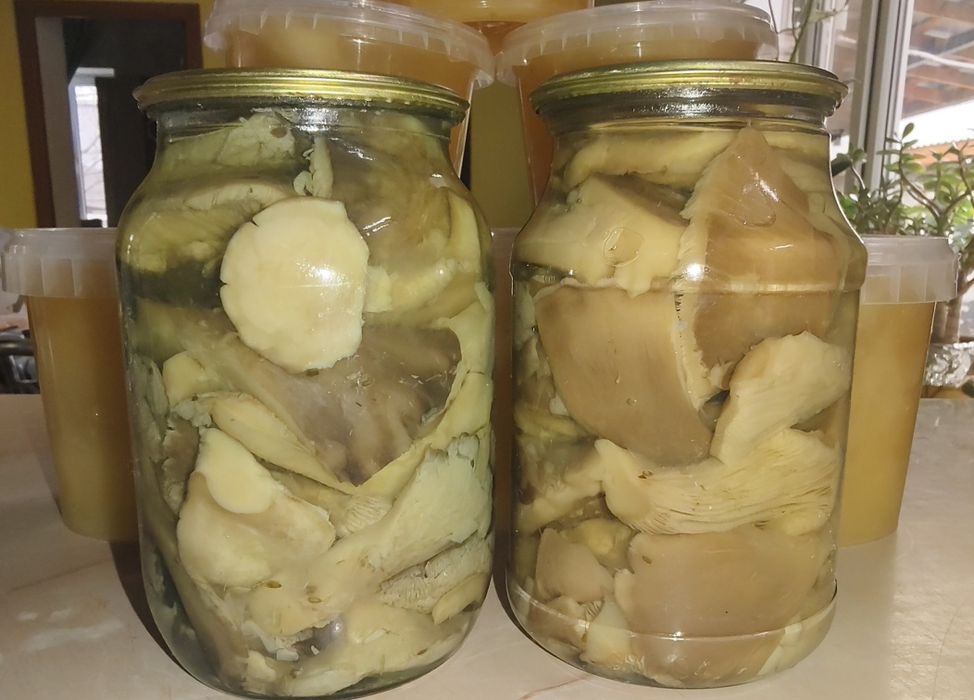 Грибы маринованные вешенки