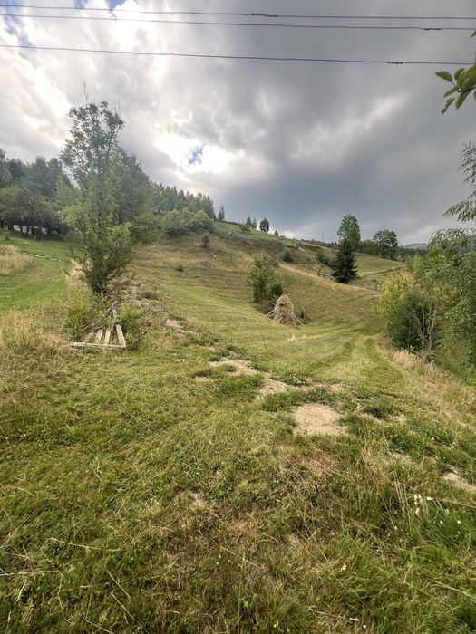 Vând teren în satul Baba, comuna Horea
