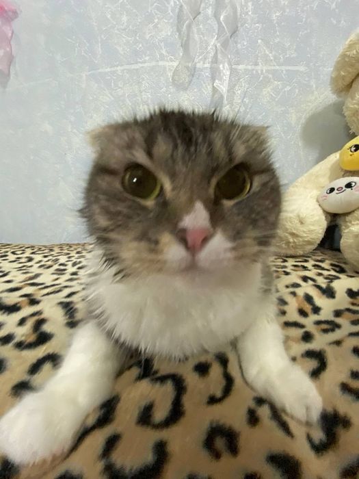 Научу делать такие фотки