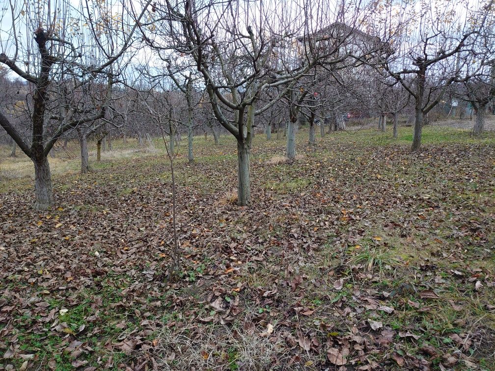 Парцел /УПИ/ в село Селище,община Благоевград - 1707м2