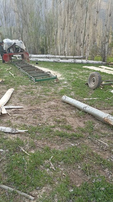 Кучма Пилорамма ленточный