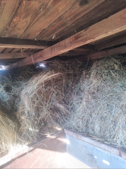 Baloti fan 170 cm cu 120