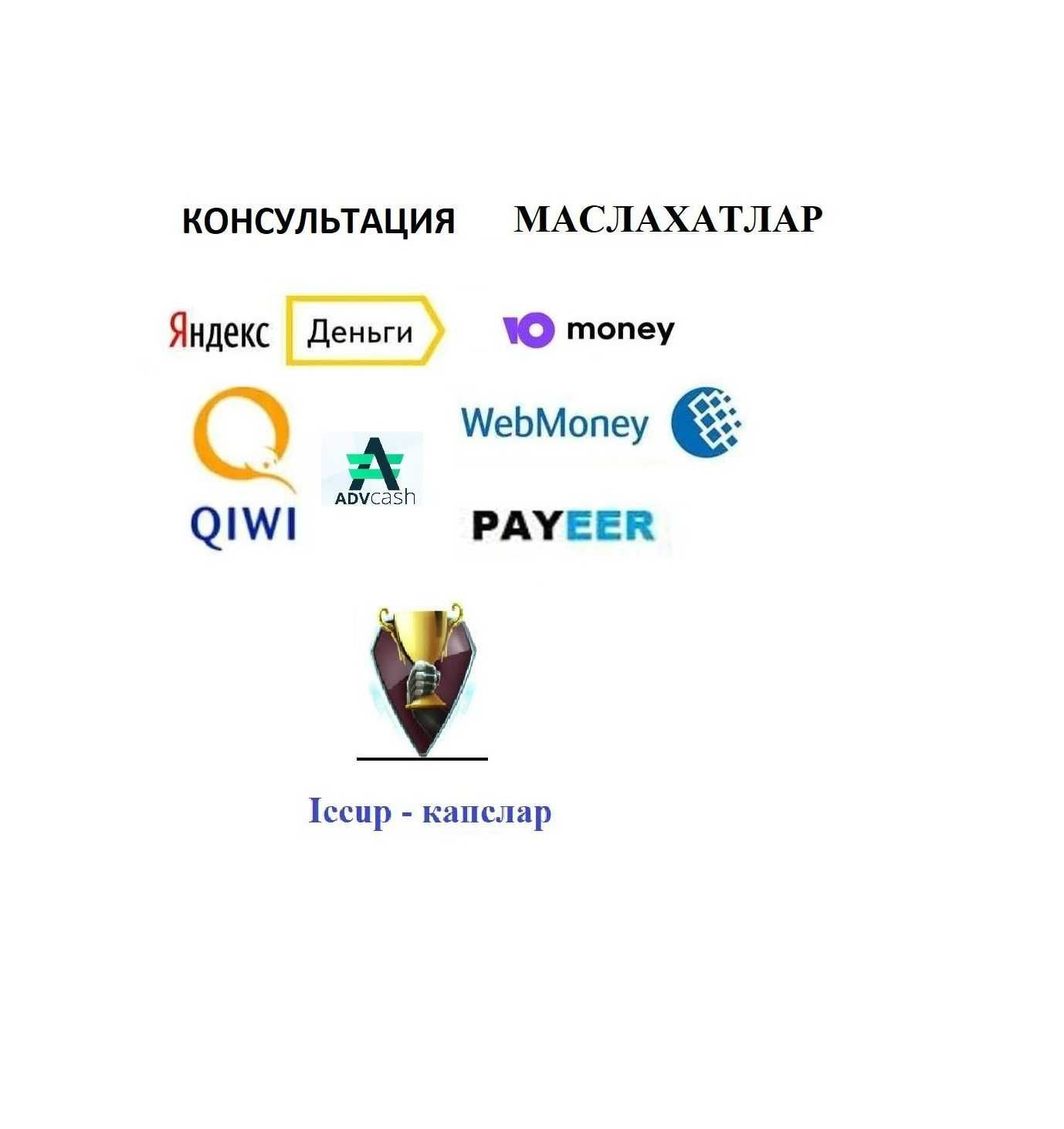 Профессионал маслахатлар Webmoney, профессиональная консультация