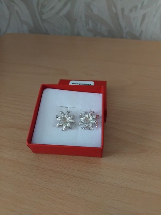 Нови сребърни обици