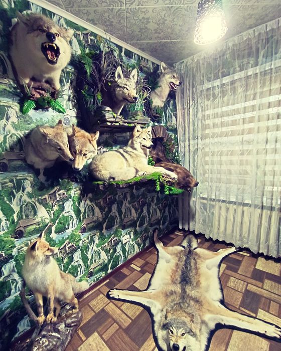 Продам. Музей имитация муляж диких животных.