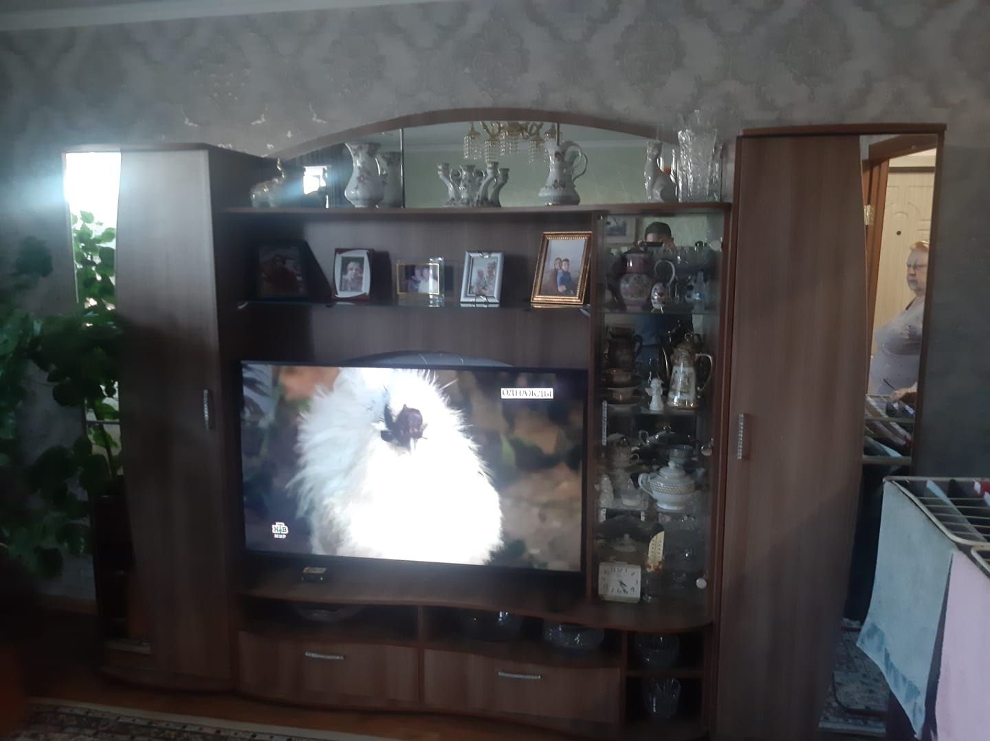 Горка для гостинной