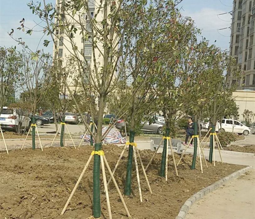 Опора для растений ( дарахтлар учун козик ва тиргаклар)