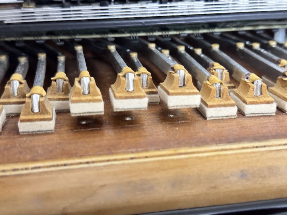 Guerrini Superior 2 President ORO | Digital