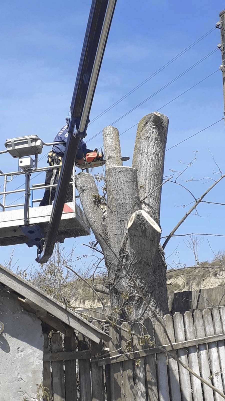 Toaletare copaci folosind Nacela PRB si Camion cu macara